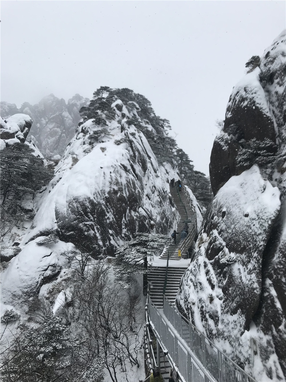 1548599879700231 微信图片_20190107131928.jpg
